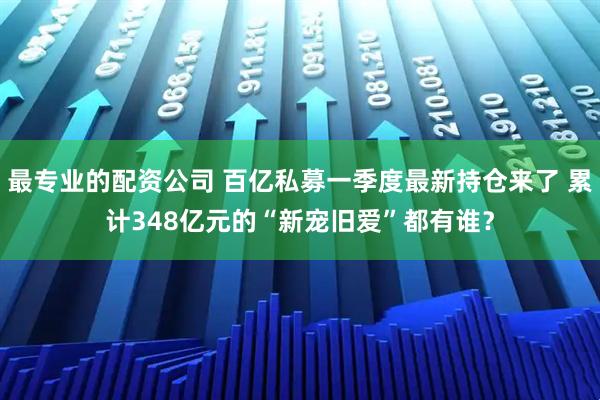 最专业的配资公司 百亿私募一季度最新持仓来了 累计348亿元的“新宠旧爱”都有谁？